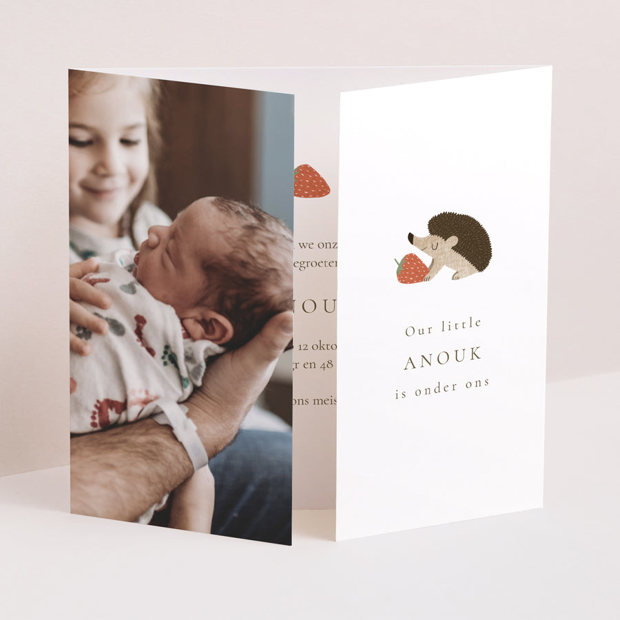 Uitnodigingskaart Geboorte Drieluiks vensteropening egel, bessenmotief foto