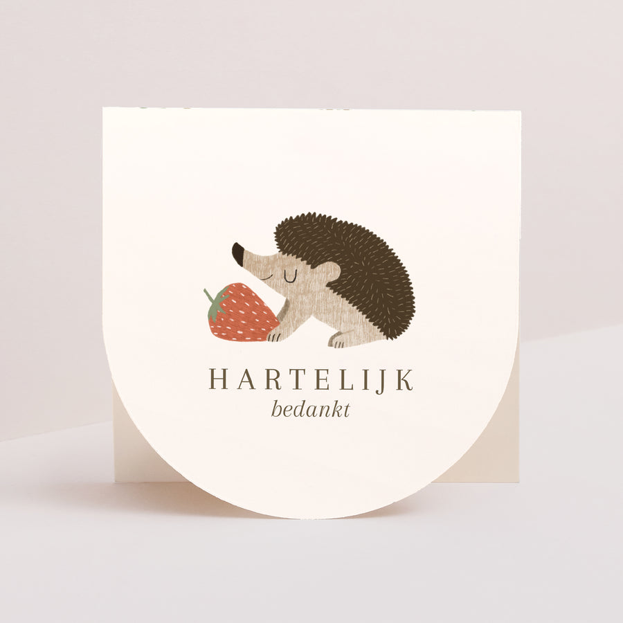 Bedankkaart Geboorte Dubbele vierkante vouwwaaier halvemaan. egel, bessenmotief foto