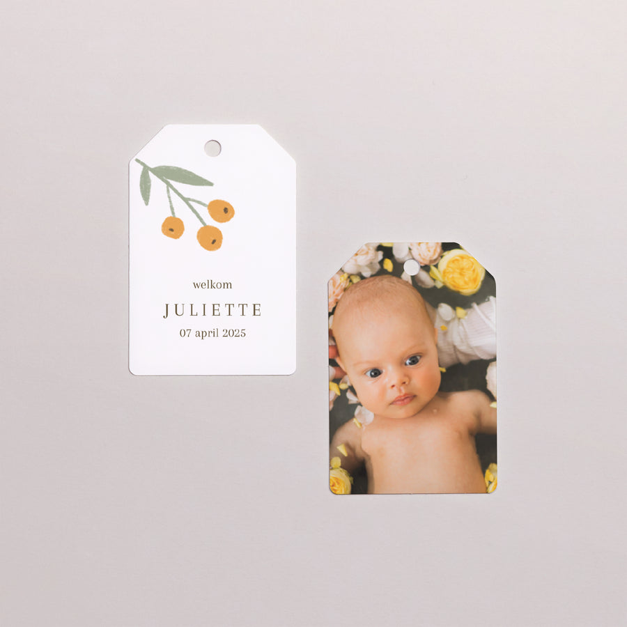 Cadeaulabel Geboorte Vlag Poussin & motieven foto