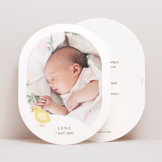 Uitnodigingskaart Geboorte Ovaal Poussin & motieven foto