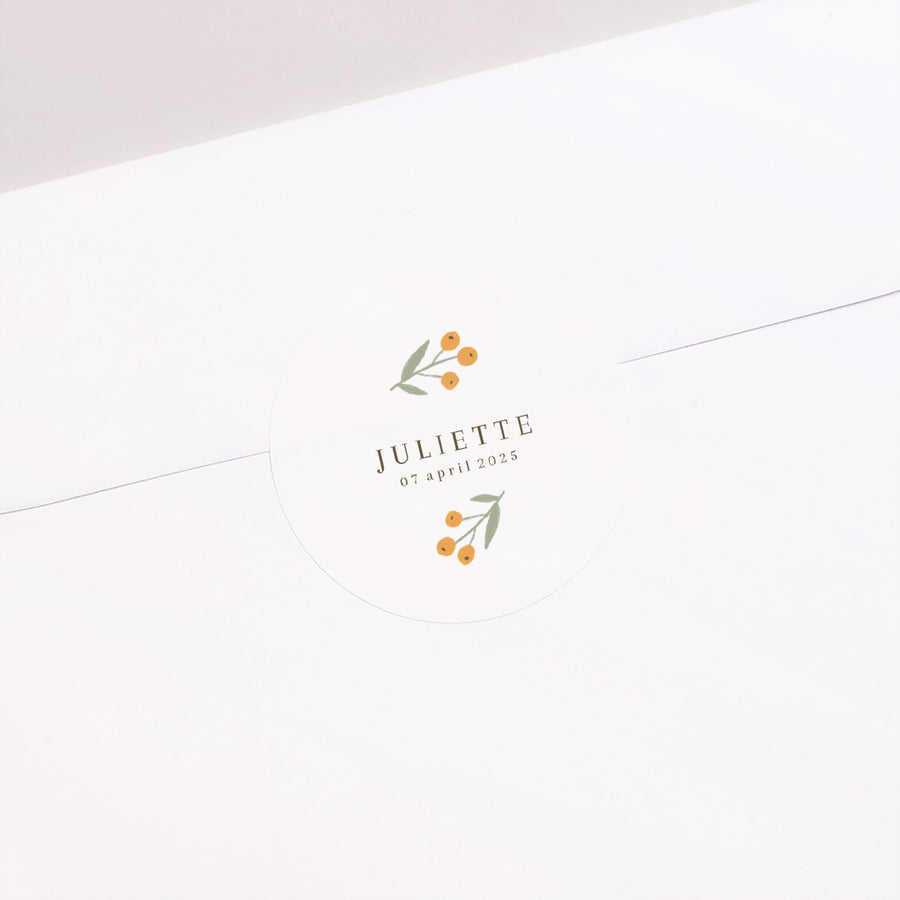 Sticker Geboorte Cirkel Poussin & motieven foto