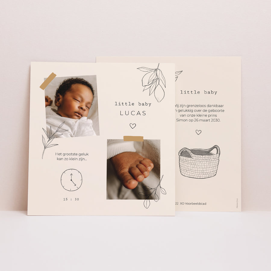 Uitnodigingskaart Geboorte Vierkant Bullet journal Herbarium foto