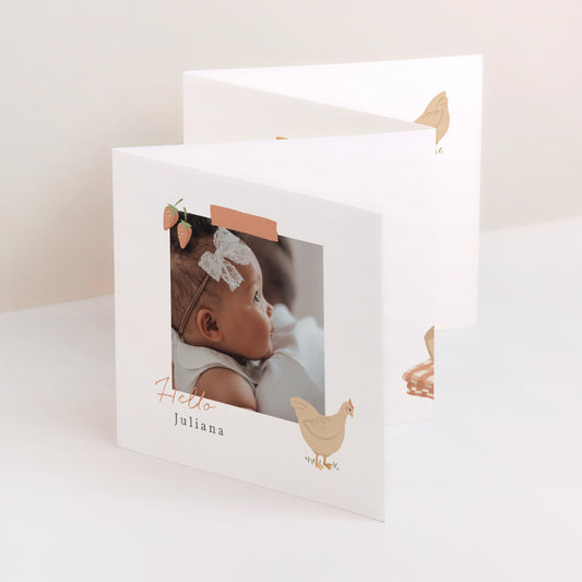 Uitnodigingskaart Geboorte Accordeon foto