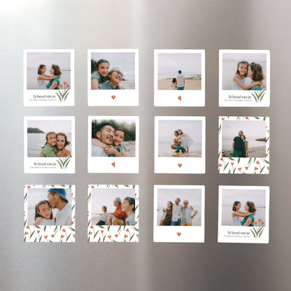 Magneet Objecten Set van 12, magnetisch foto N° 1