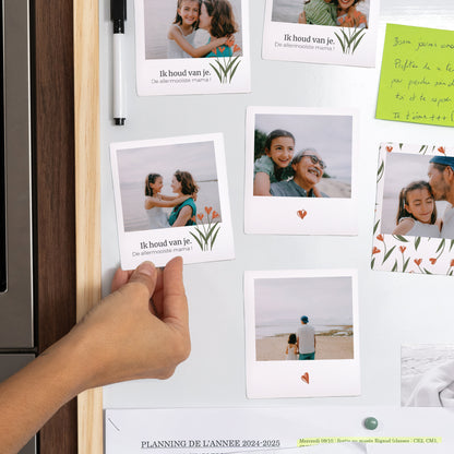 Magneet Objecten Set van 12, magnetisch foto N° 2