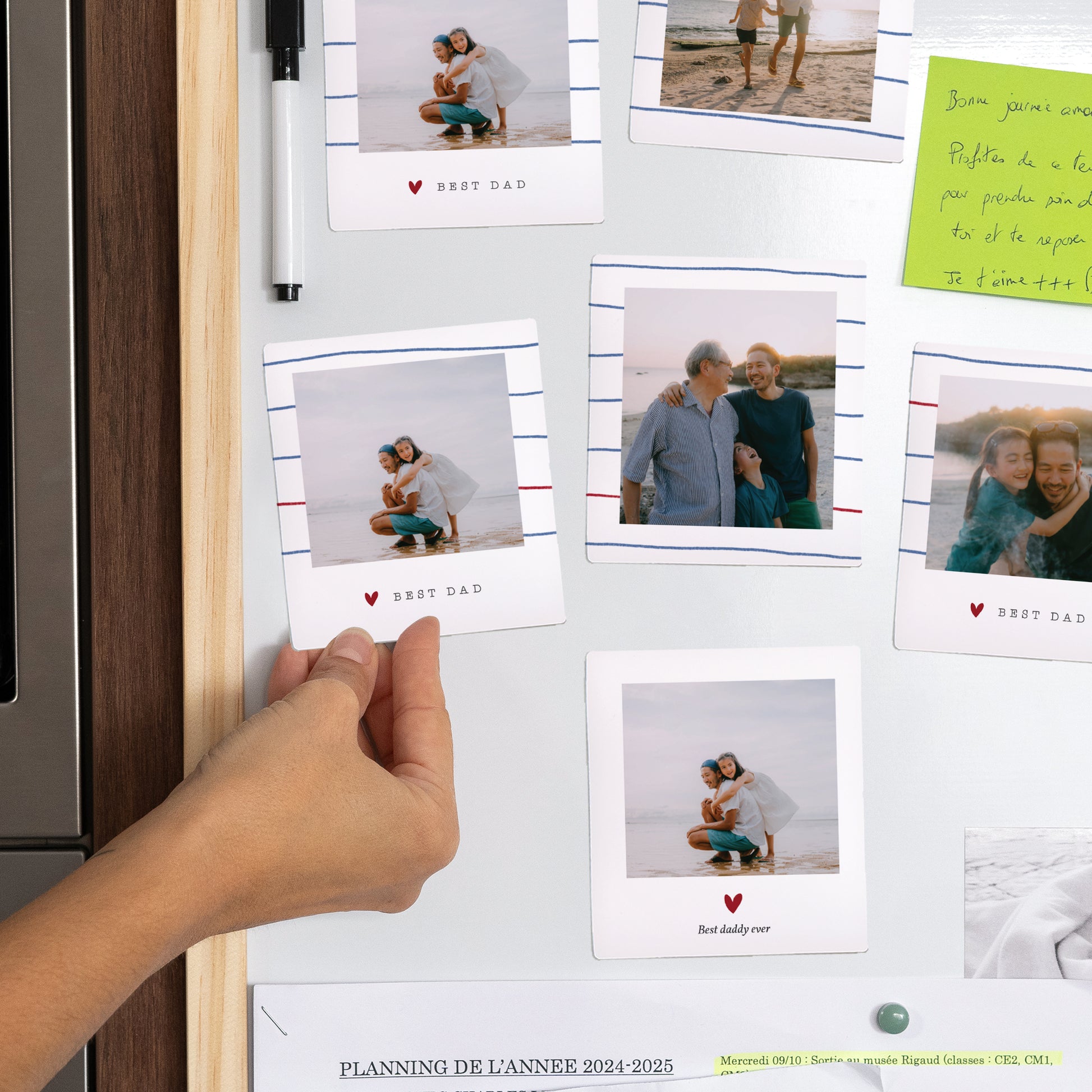 Magneet Objecten Set van 12, magnetisch foto N° 2