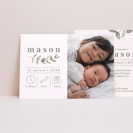 Uitnodigingskaart Geboorte Landschap Tedere eucalyptus foto