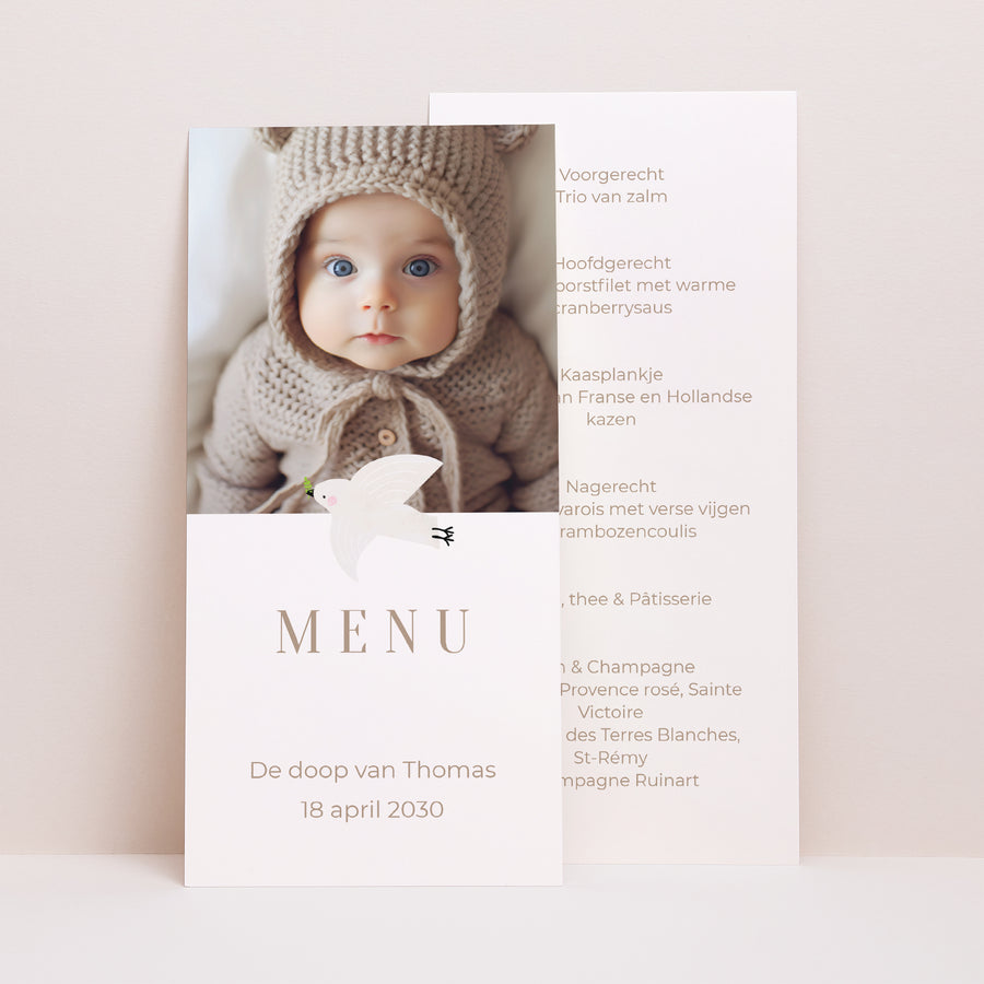 Menukaart Geboorte Panoramisch portret Basisfotografie foto