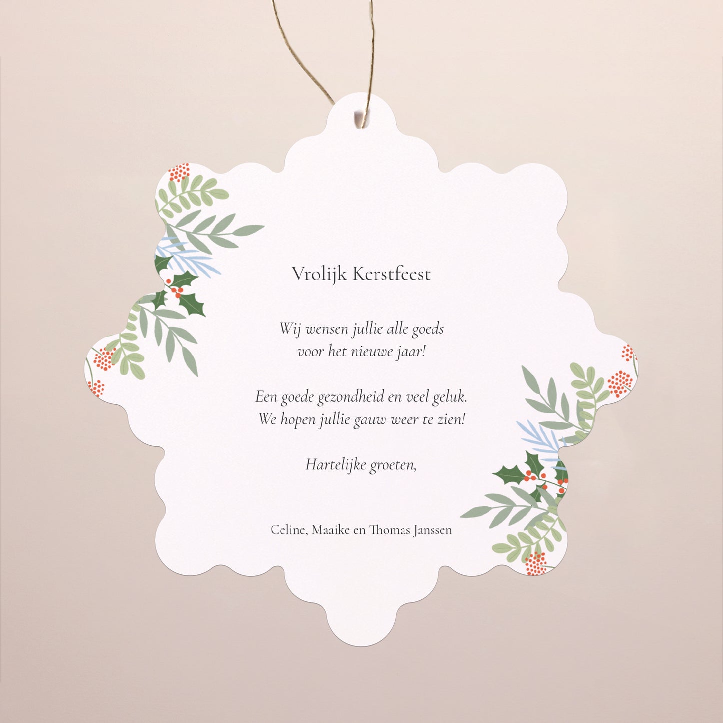 Kerstkaart Eindejaar Sneeuwvlok om op te hangen Glimlachen voor Kerstmis foto N° 2