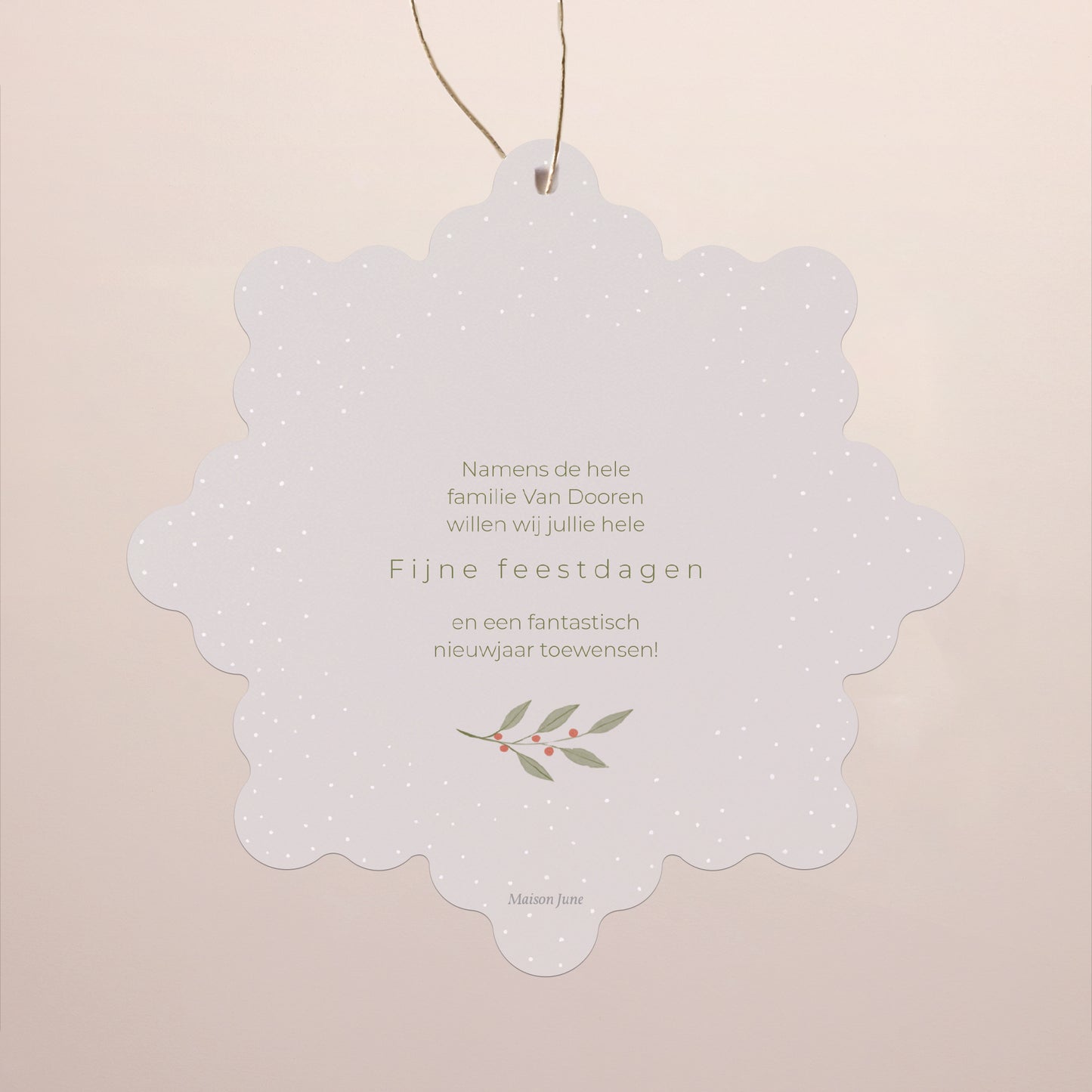 Kerstkaart Eindejaar Sneeuwvlok om op te hangen strengen en schilfers foto N° 2