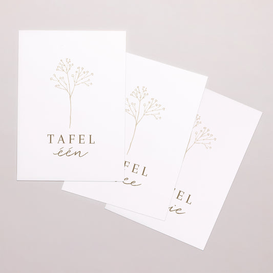 Tafelnummers Huwelijk Rechthoek Elegante gypsophile foto