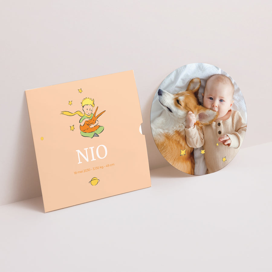 Uitnodigingskaart Geboorte Platenhoes Onze kleine vos foto