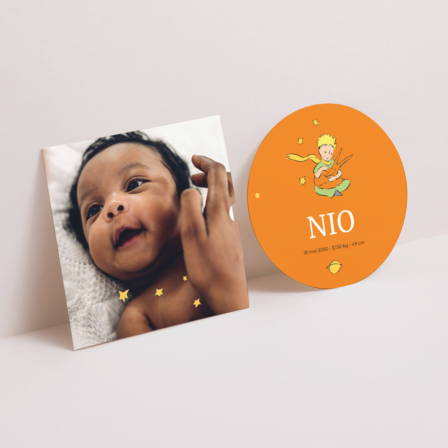 Uitnodigingskaart Geboorte Platenhoes Onze kleine vos II foto