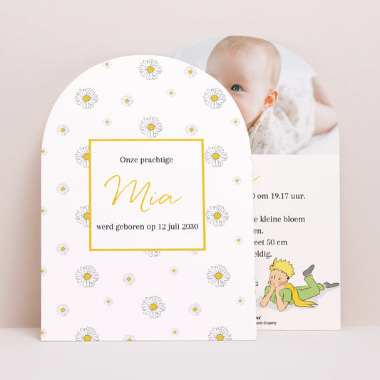 Uitnodigingskaart Geboorte Kleine boog Drom van madeliefje foto