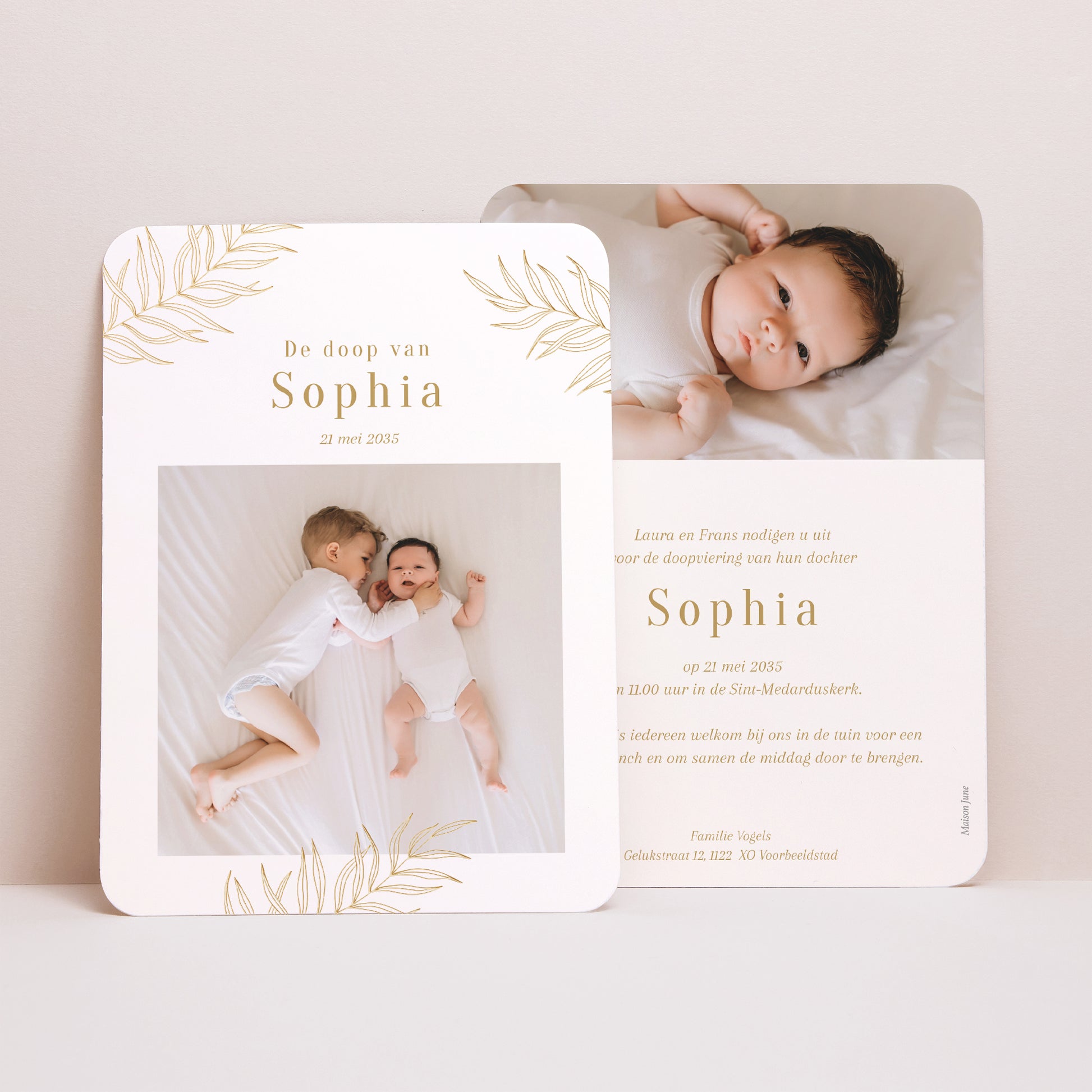 Uitnodiging Doop Portret, afgeronde hoeken Palmen en Licht foto N° 1