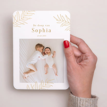 Uitnodiging Doop Portret, afgeronde hoeken Palmen en Licht foto N° 2