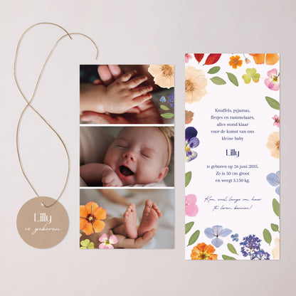 Geboortekaartjes Verpakking, 2 kaarten, round label Het Betoverde Herbarium foto N° 3