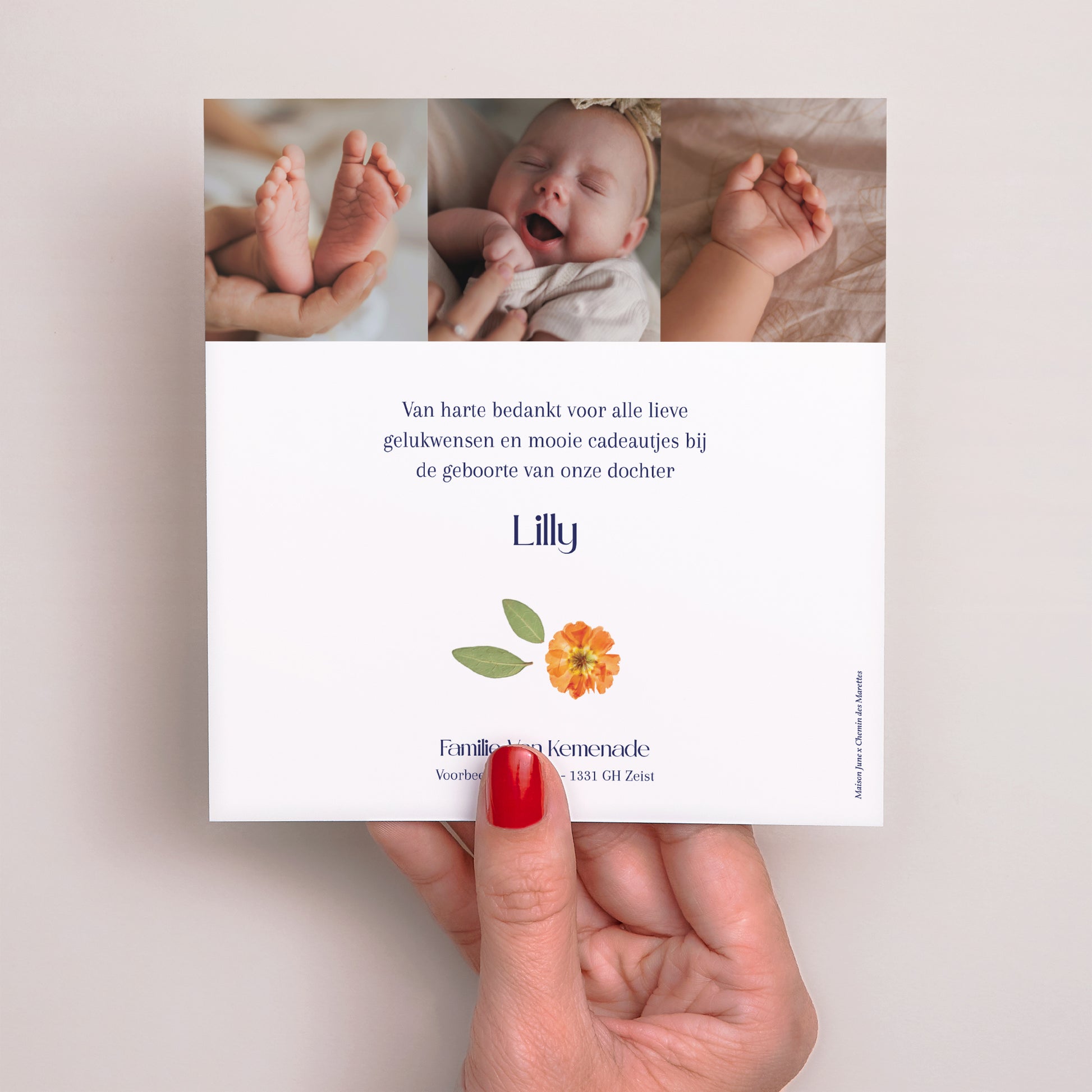 Bedankkaart Geboorte Vierkant Het Betoverde Herbarium foto N° 3