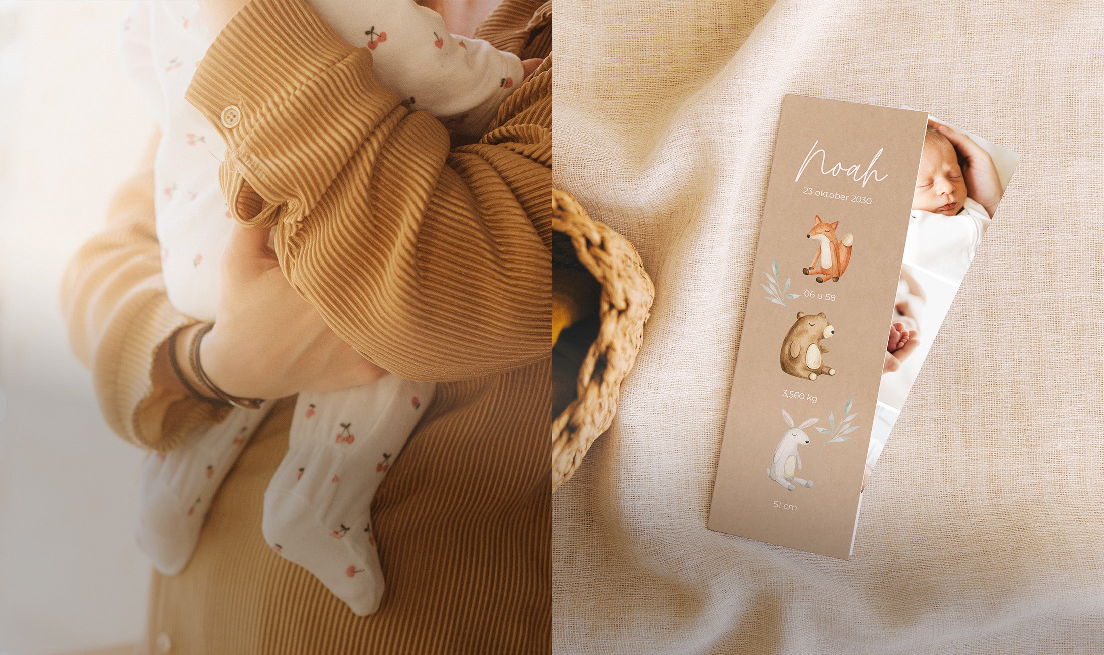 Baby's kleine vrienden